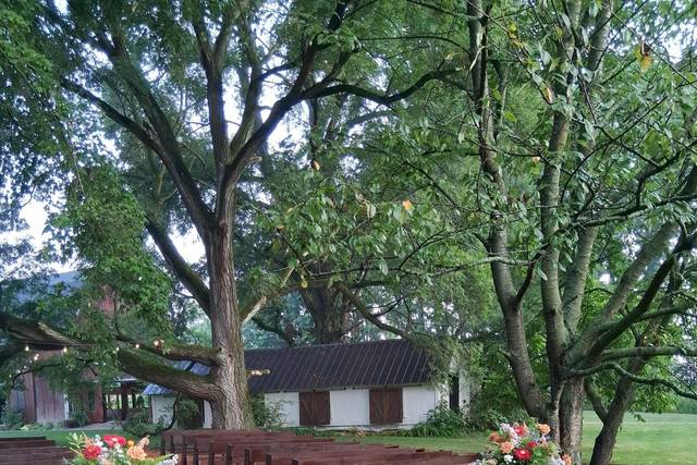 Outdoor Wedding