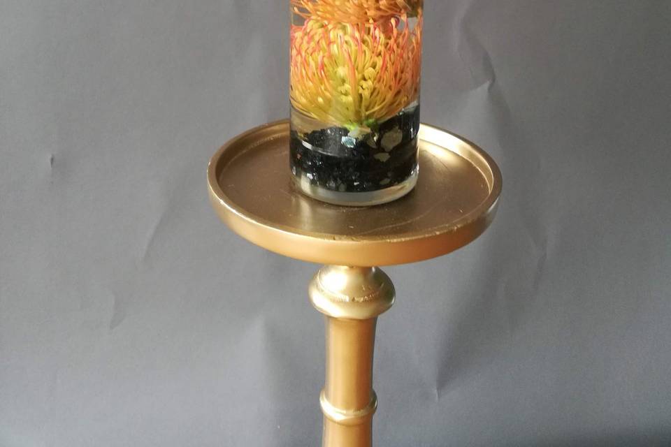 Protea with black rock