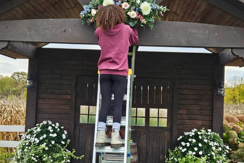 On the ladder