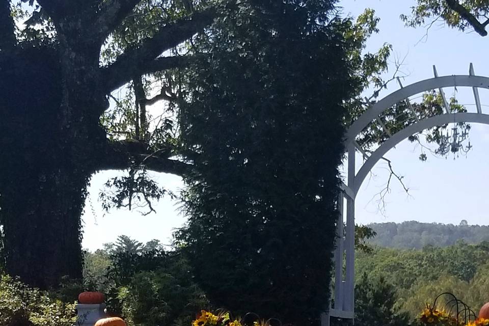 Outdoor wedding setup