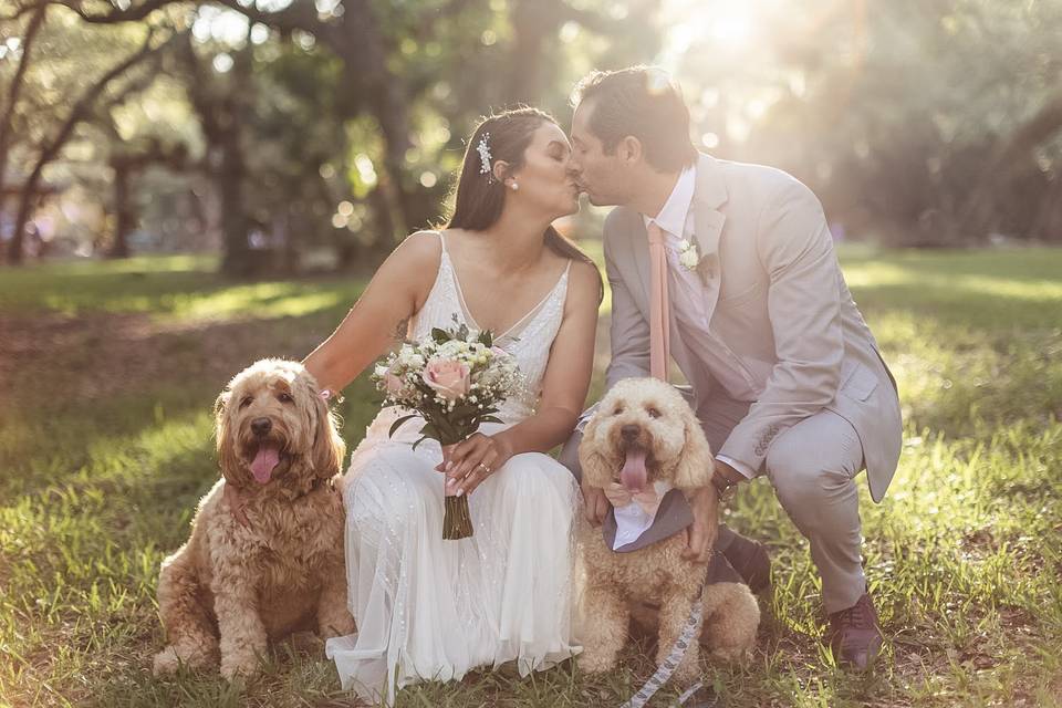 Pure Zeal Weddings