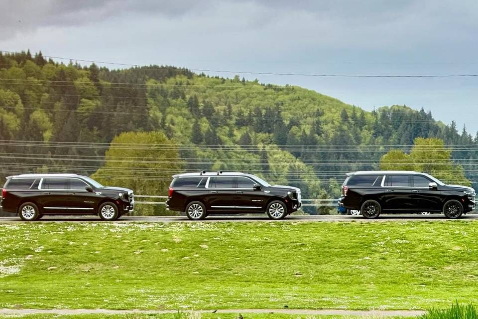 All Star Town Car