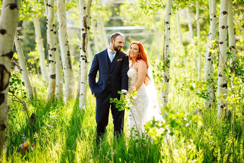 Summer in the Aspens