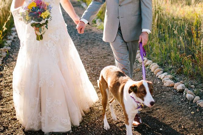 Pet Friendly Ceremonies