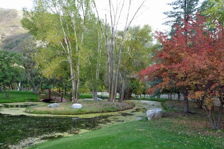 Serene Pond with Autumn Colors