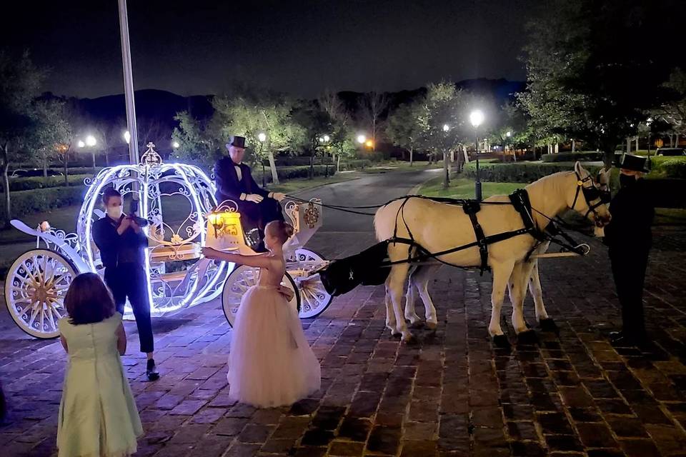 Carriage Ride