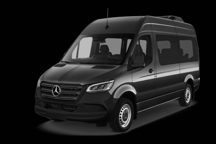 Alpine Limousine Service, Inc.