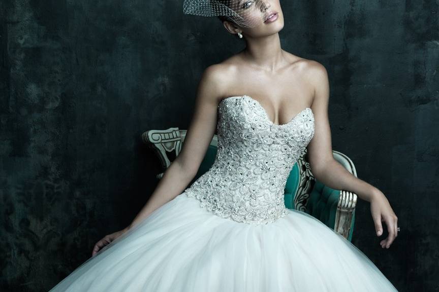 Fancy bridal gown