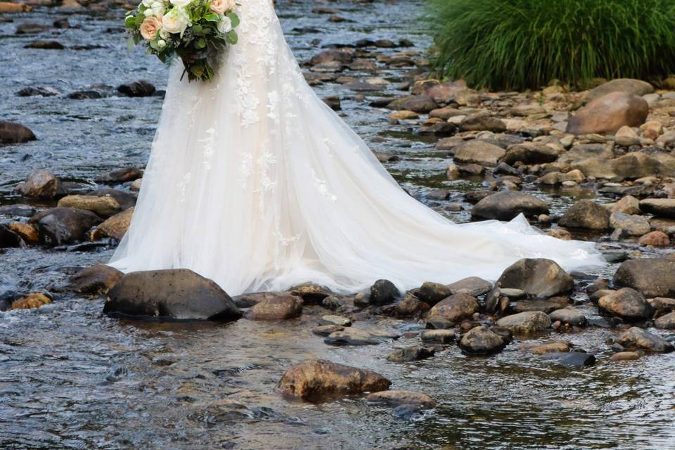 Elegant gowns