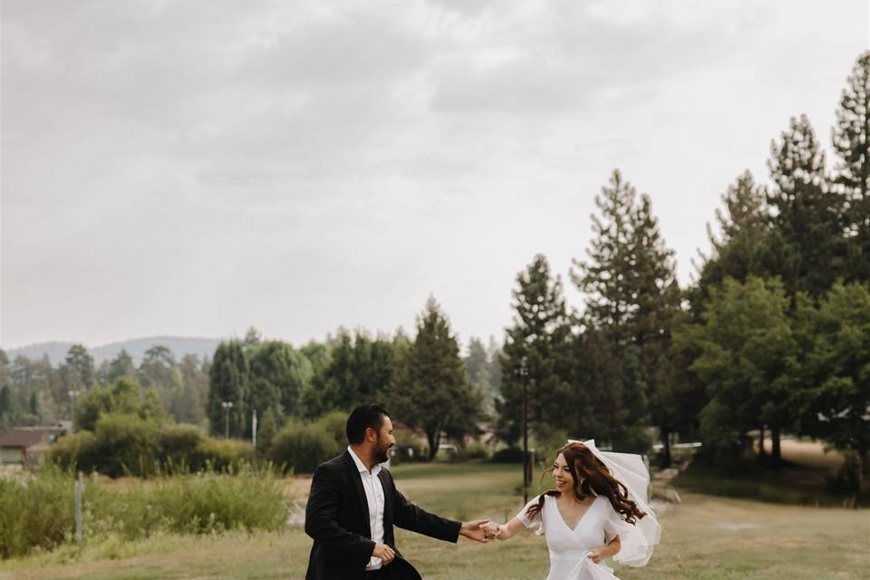 Wedding Portraits