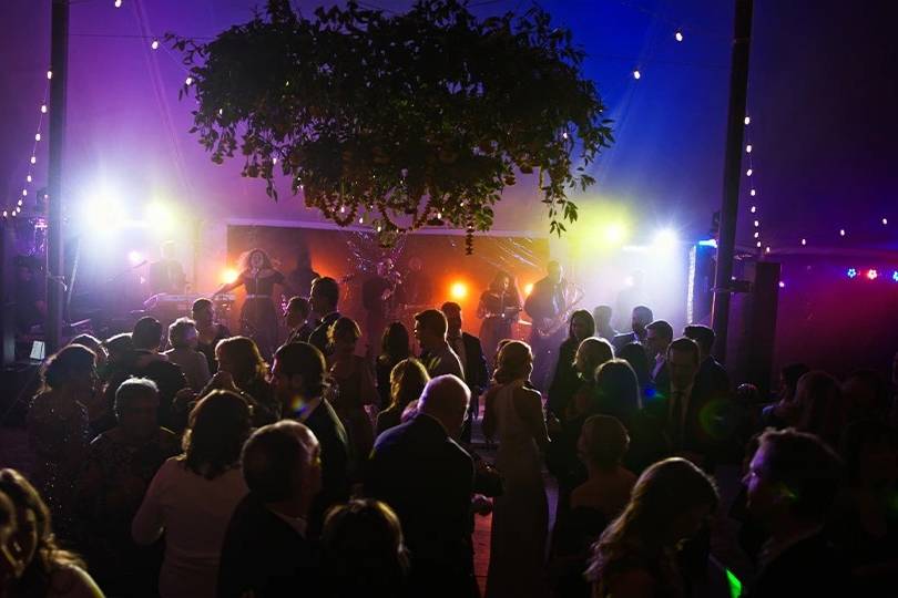 Live performance