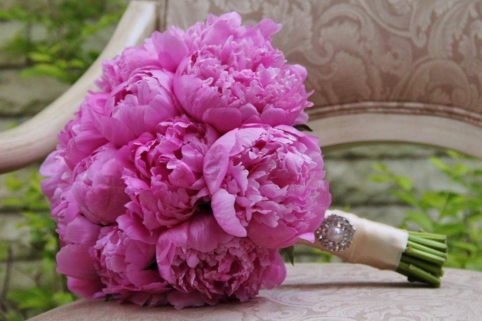 Floral & Photo: Kensington