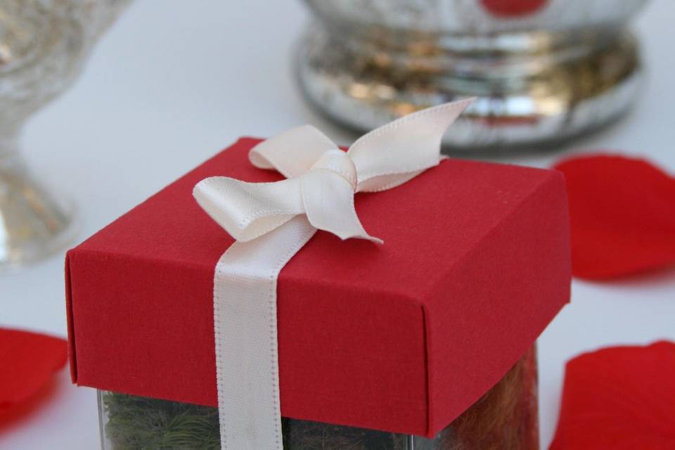Wedding seed favor with red lid and ivory ribbon. Inside this petite box is a rooted oak tree seed carefully selected for your growing region. Upon leaving our farm it requires no care on behalf of the bride, but will need to be opened and watered three weeks after the wedding day. Care and handling instructions are included.