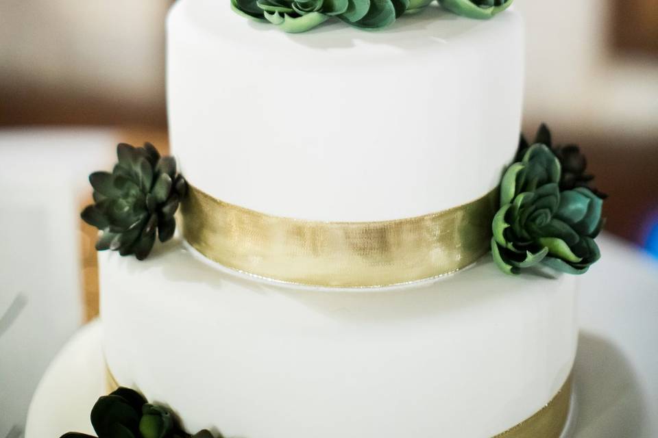 Succulents on cake