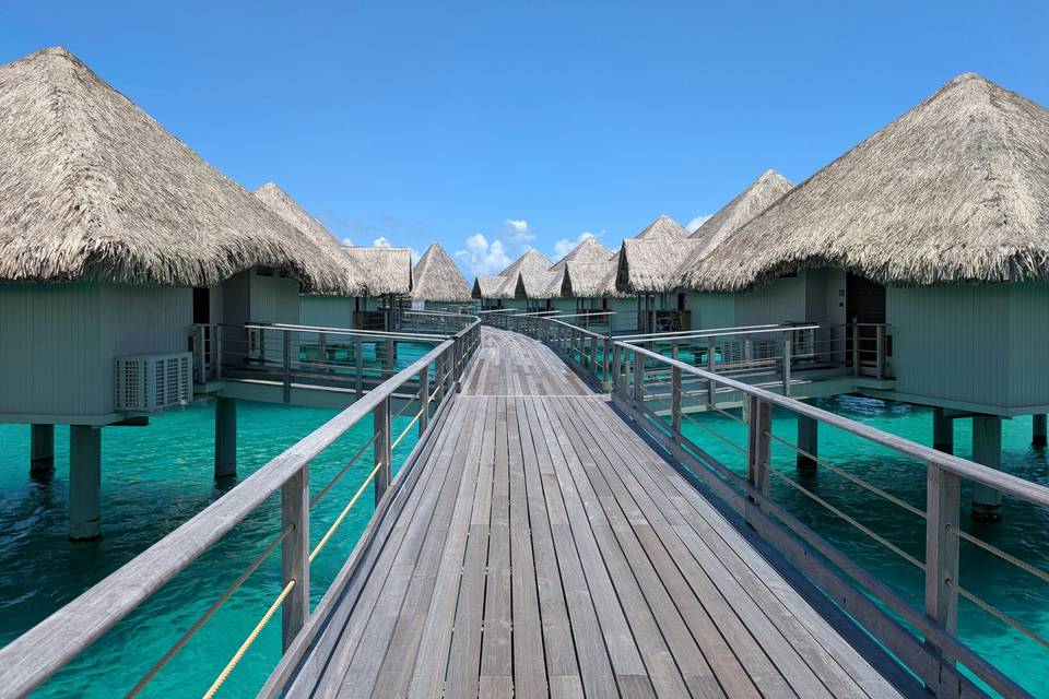 bora4.jpg