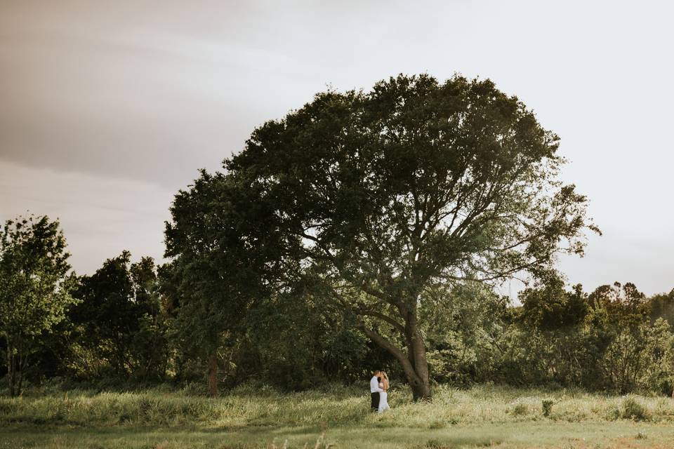 Oak and Iron Photography