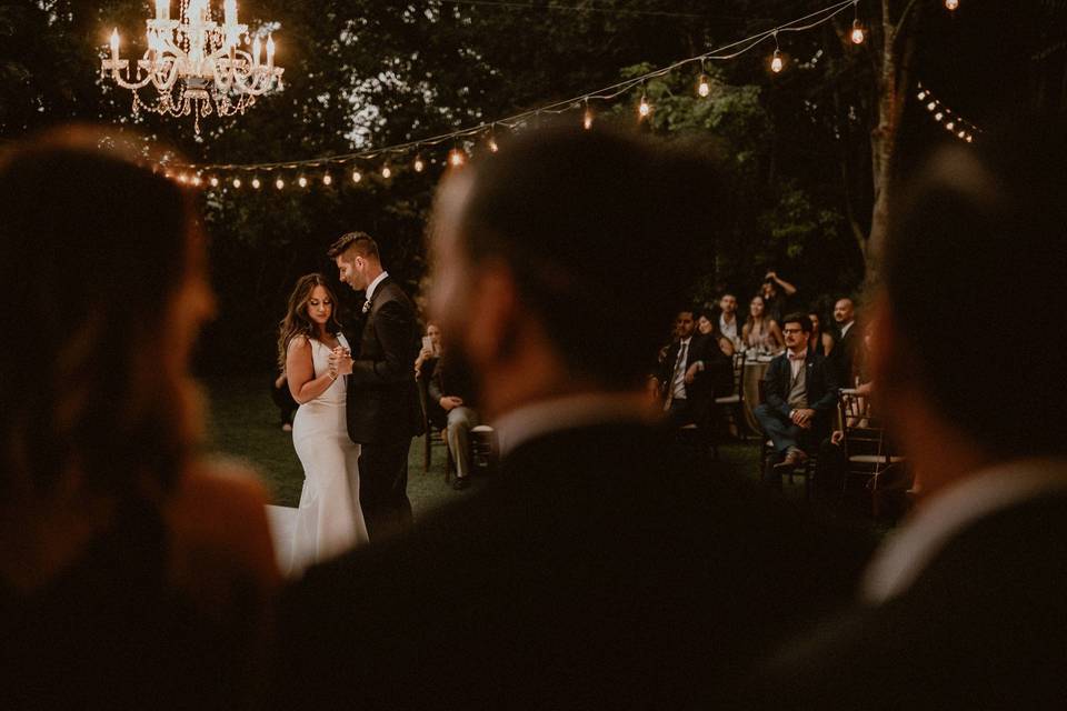 Wedding at Hartley Botanica