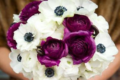 Heather Waraksa Photography