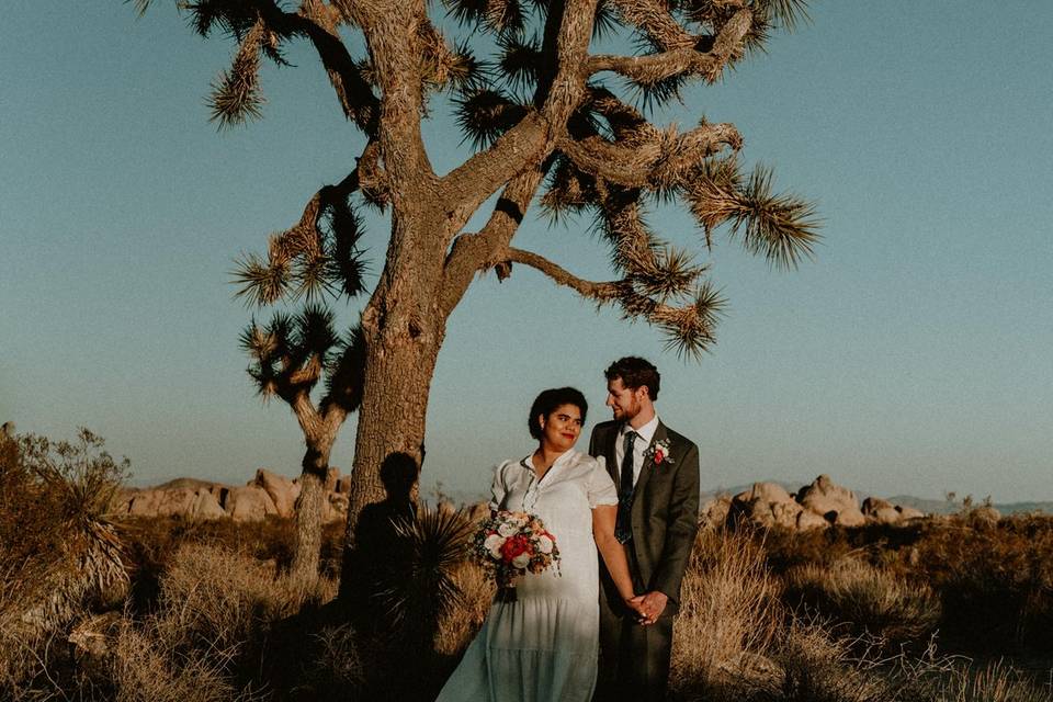 Joshua Tree Elopement