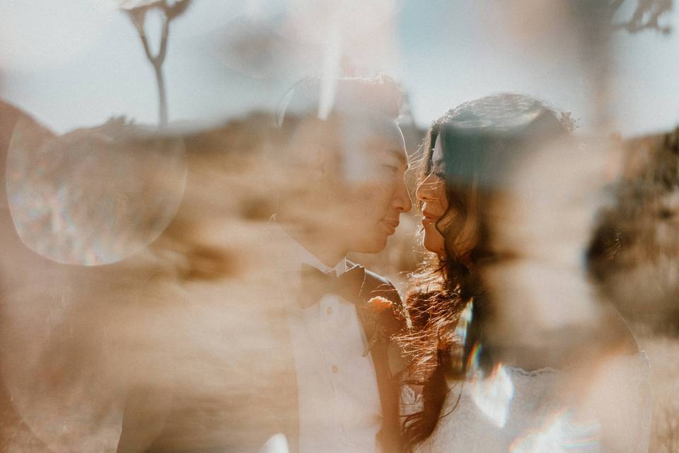 Joshua Tree Elopement