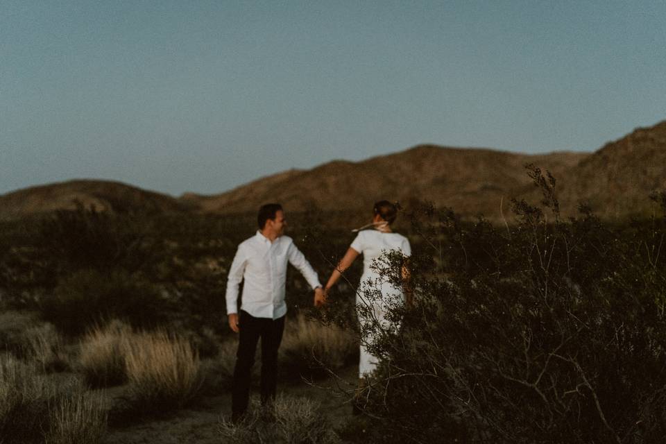 Joshua Tree Elopement