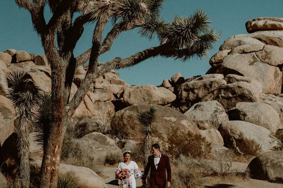 Joshua Tree Elopement