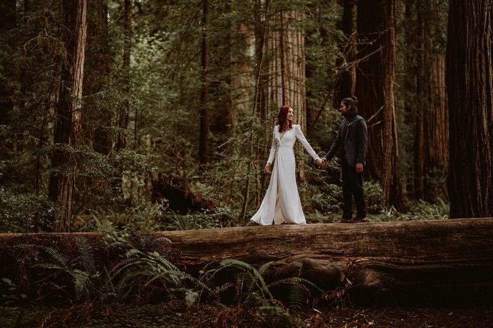 Redwoods Elopement