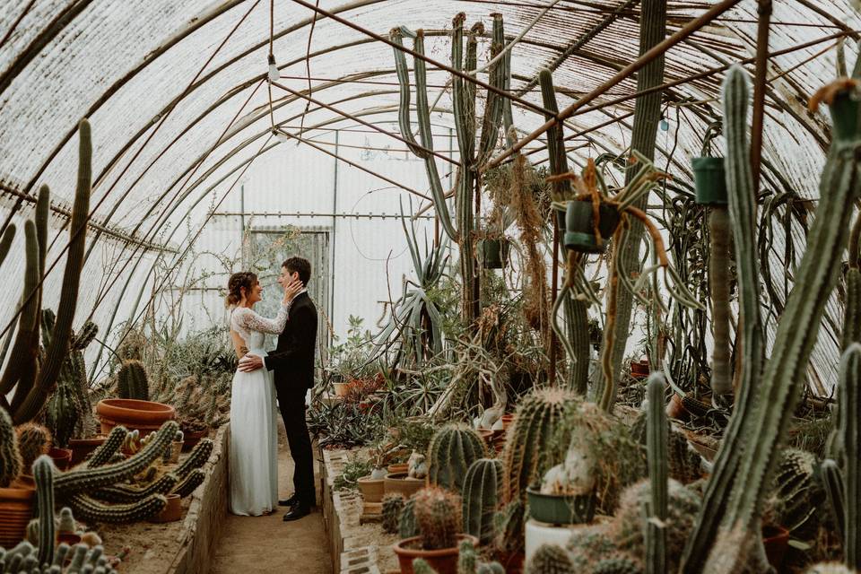 Palm Springs Elopement