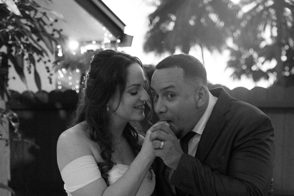 Feeding Cake