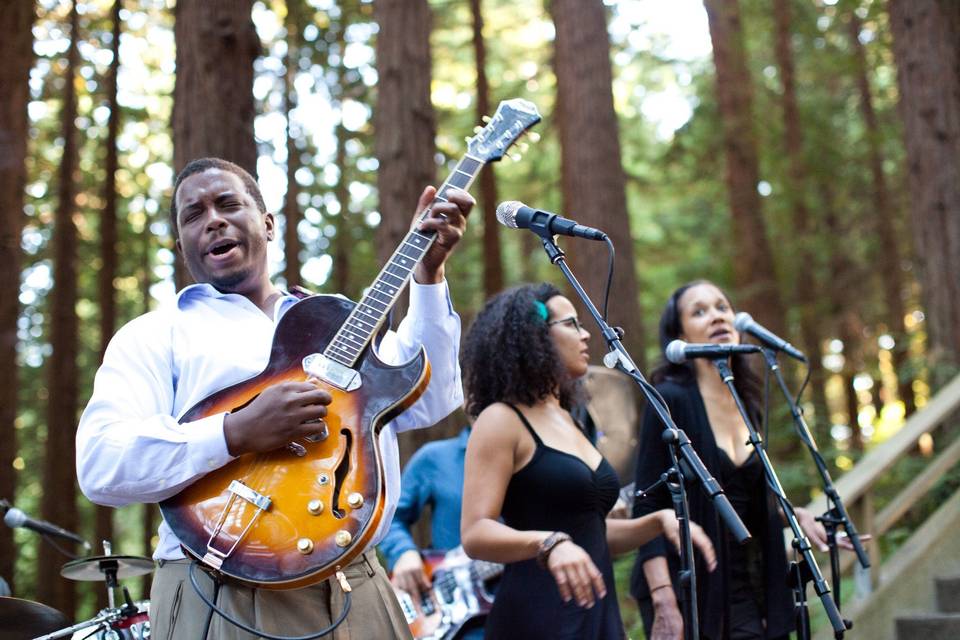 Soul in The Redwoods