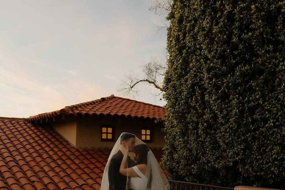 True Bride