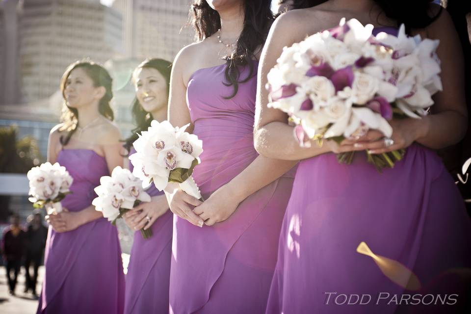 Todd Parsons Photography