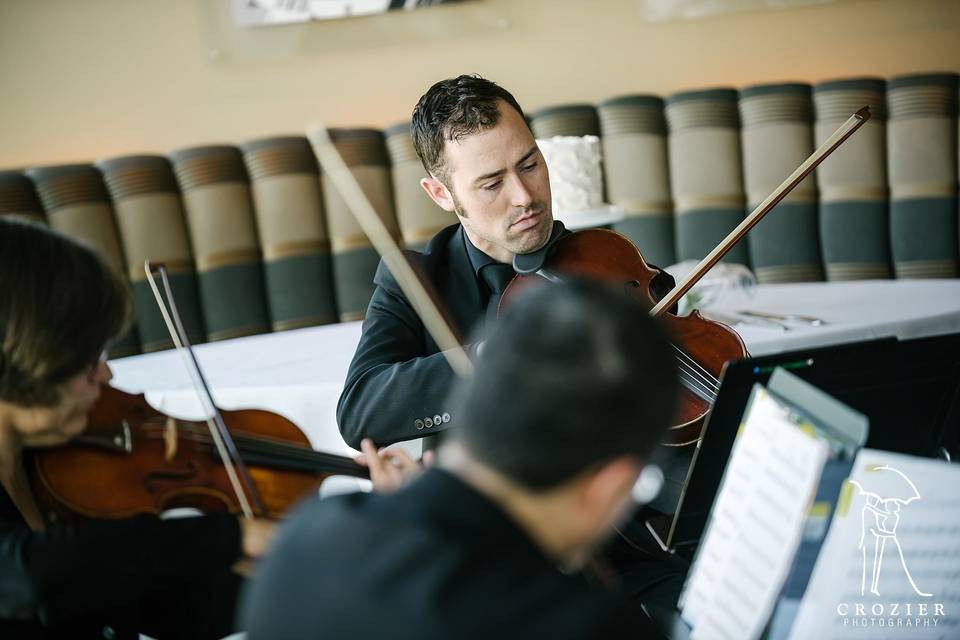 Central Park Strings