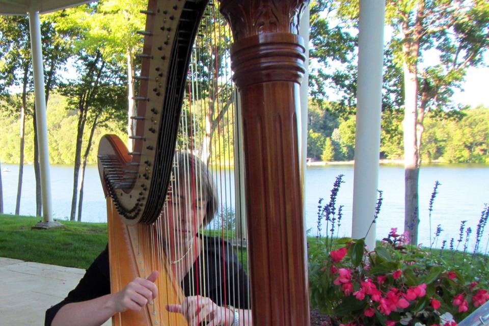 Harpist at a wedding ceremony