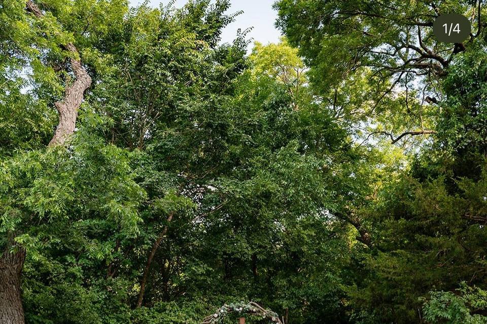 Ceremony surrounded by trees