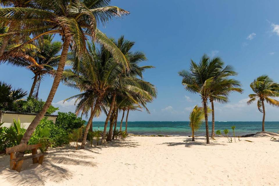 Our private beach!