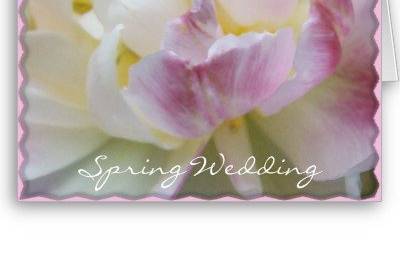 San Diego Wedding Shoppe