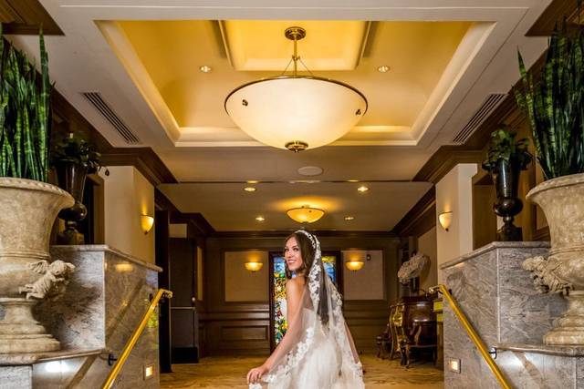 Bridal gown and veil