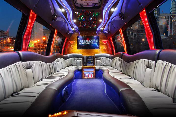 18 Passenger Luxury Coach