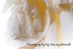 Tracey Ahrendt Photographic Artist
