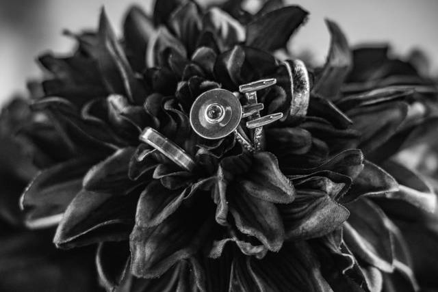 Dewey Photography