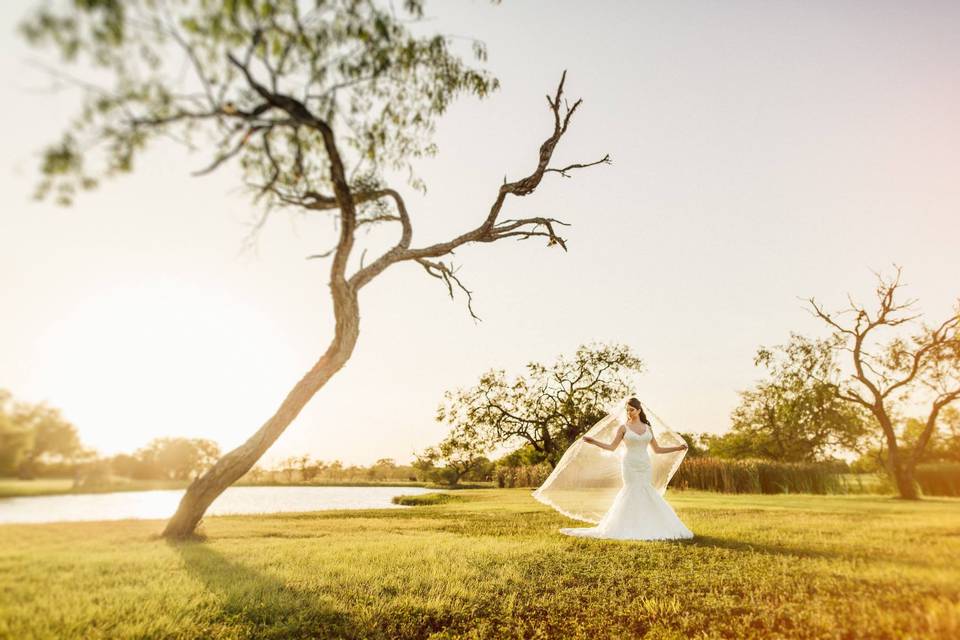 Bridal portrait