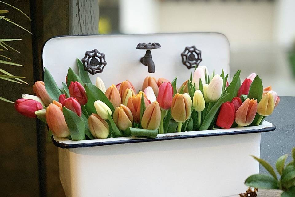 Birthday Tulips