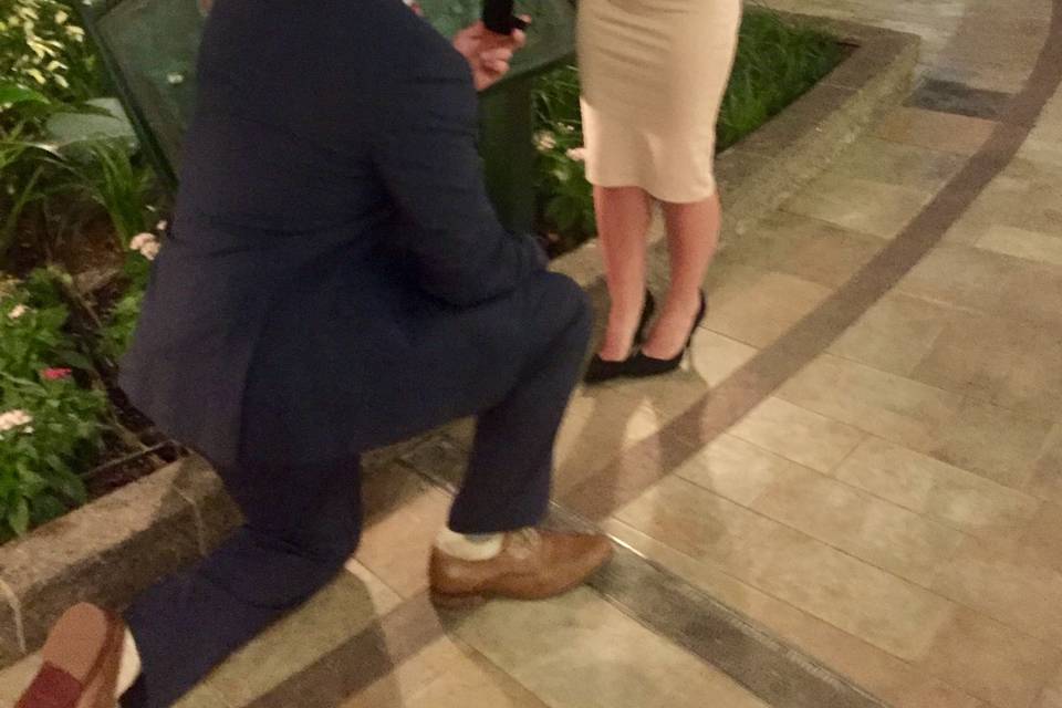 Proposal