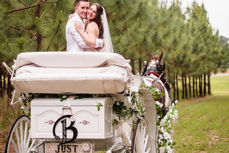 Couple in the bridal carriage