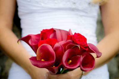 Vivi Photography