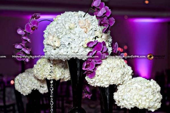 Gs Coordination and Special Event Designer