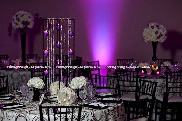Gs Coordination and Special Event Designer