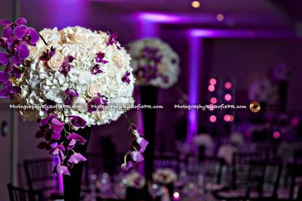 Gs Coordination and Special Event Designer