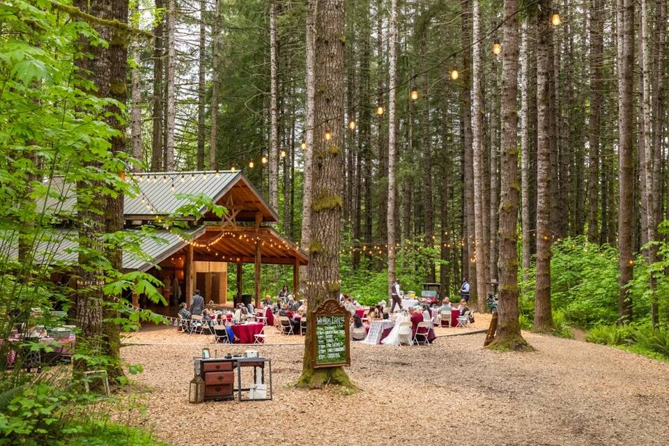Forest wedding
